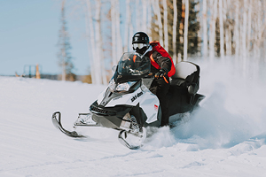 aktivitet_järvsöguiderna_300x2004