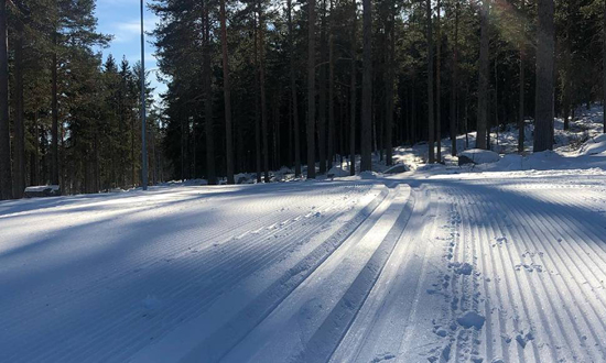 vinter_550x3302