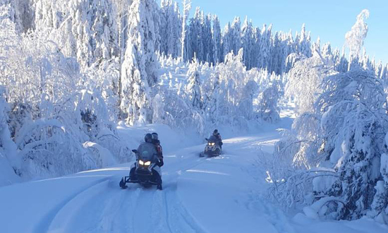 vinter_550x3304